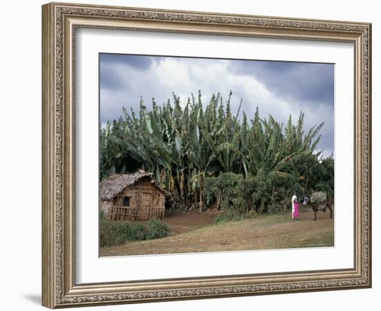 Typical House, Southern Ethiopia, Ethiopia, Africa-Jane Sweeney-Framed Photographic Print