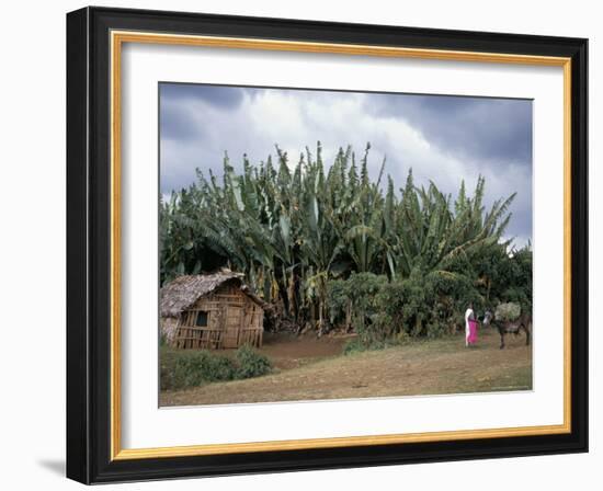 Typical House, Southern Ethiopia, Ethiopia, Africa-Jane Sweeney-Framed Photographic Print