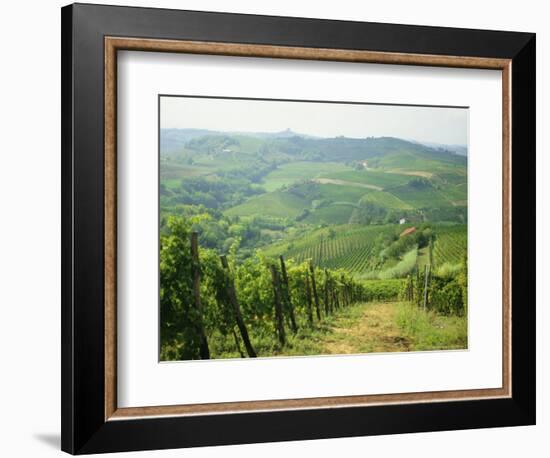 Typical Landscape of Vines in the Colli Piacentini, Piacenza, Emilia Romagna, Italy, Europe-Michael Newton-Framed Photographic Print