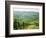 Typical Landscape of Vines in the Colli Piacentini, Piacenza, Emilia Romagna, Italy, Europe-Michael Newton-Framed Photographic Print