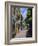 Typical Old Town Street, Marbella, Costa Del Sol, Andalucia, Spain-Fraser Hall-Framed Photographic Print