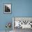 Typical Parisian Rooftop Scene-Alfred Eisenstaedt-Framed Photographic Print displayed on a wall