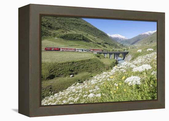 Typical red Swiss train on Hospental Viadukt surrounded by creek and blooming flowers, Andermatt, C-Roberto Moiola-Framed Premier Image Canvas