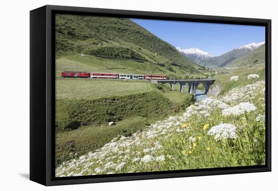 Typical red Swiss train on Hospental Viadukt surrounded by creek and blooming flowers, Andermatt, C-Roberto Moiola-Framed Premier Image Canvas