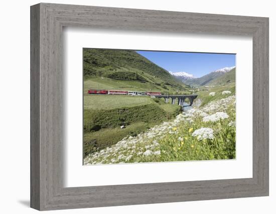 Typical red Swiss train on Hospental Viadukt surrounded by creek and blooming flowers, Andermatt, C-Roberto Moiola-Framed Photographic Print