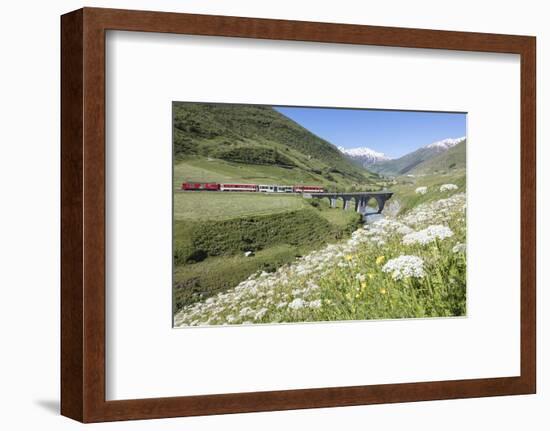 Typical red Swiss train on Hospental Viadukt surrounded by creek and blooming flowers, Andermatt, C-Roberto Moiola-Framed Photographic Print