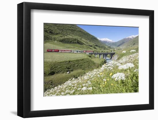 Typical red Swiss train on Hospental Viadukt surrounded by creek and blooming flowers, Andermatt, C-Roberto Moiola-Framed Photographic Print