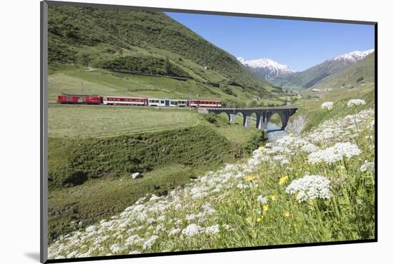 Typical red Swiss train on Hospental Viadukt surrounded by creek and blooming flowers, Andermatt, C-Roberto Moiola-Mounted Photographic Print