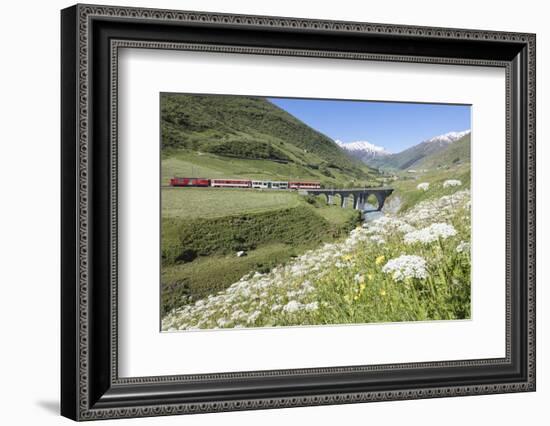 Typical red Swiss train on Hospental Viadukt surrounded by creek and blooming flowers, Andermatt, C-Roberto Moiola-Framed Photographic Print