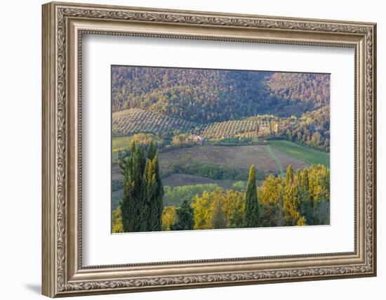 Typical Rolling Hills Landscape. Tuscany, Italy-Tom Norring-Framed Photographic Print