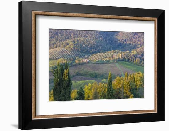 Typical Rolling Hills Landscape. Tuscany, Italy-Tom Norring-Framed Photographic Print