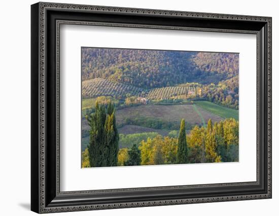 Typical Rolling Hills Landscape. Tuscany, Italy-Tom Norring-Framed Photographic Print