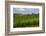 Typical Rolling Hills Landscape. Tuscany, Italy-Tom Norring-Framed Photographic Print