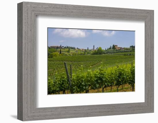 Typical Rolling Hills Landscape. Tuscany, Italy-Tom Norring-Framed Photographic Print