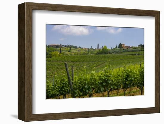 Typical Rolling Hills Landscape. Tuscany, Italy-Tom Norring-Framed Photographic Print