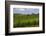 Typical Rolling Hills Landscape. Tuscany, Italy-Tom Norring-Framed Photographic Print