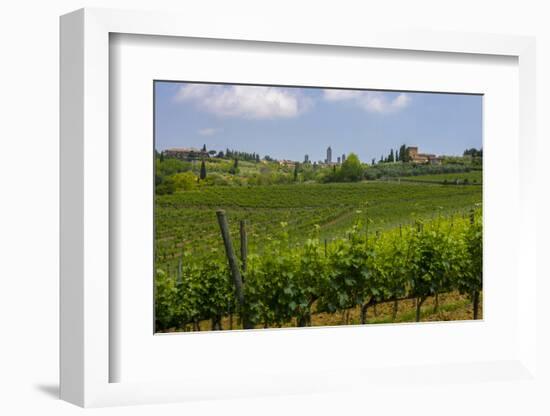 Typical Rolling Hills Landscape. Tuscany, Italy-Tom Norring-Framed Photographic Print