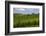 Typical Rolling Hills Landscape. Tuscany, Italy-Tom Norring-Framed Photographic Print