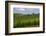 Typical Rolling Hills Landscape. Tuscany, Italy-Tom Norring-Framed Photographic Print