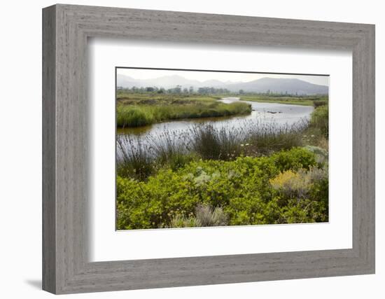 Typical Sardinian Landscape, Water Pond and Mountains in the Background, Costa Degli Oleandri-Guy Thouvenin-Framed Photographic Print