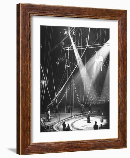 Typical Scene at Circus-Marie Hansen-Framed Photographic Print