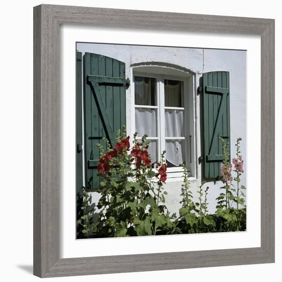 Typical Scene of Shuttered Windows and Hollyhocks, St. Martin, Ile de Re, Poitou-Charentes, France-Stuart Black-Framed Photographic Print