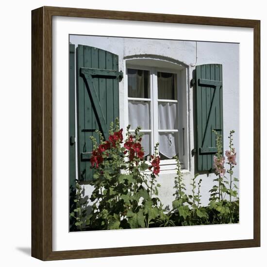 Typical Scene of Shuttered Windows and Hollyhocks, St. Martin, Ile de Re, Poitou-Charentes, France-Stuart Black-Framed Photographic Print
