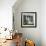 Typical Scene of Shuttered Windows and Hollyhocks, St. Martin, Ile de Re, Poitou-Charentes, France-Stuart Black-Framed Photographic Print displayed on a wall