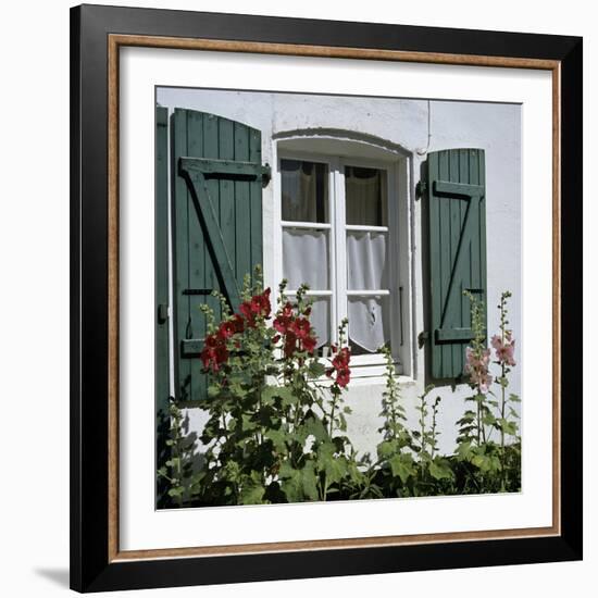 Typical Scene of Shuttered Windows and Hollyhocks, St. Martin, Ile de Re, Poitou-Charentes, France-Stuart Black-Framed Photographic Print