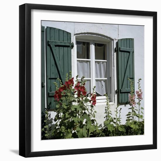 Typical Scene of Shuttered Windows and Hollyhocks, St. Martin, Ile de Re, Poitou-Charentes, France-Stuart Black-Framed Photographic Print