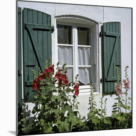 Typical Scene of Shuttered Windows and Hollyhocks, St. Martin, Ile de Re, Poitou-Charentes, France-Stuart Black-Mounted Photographic Print