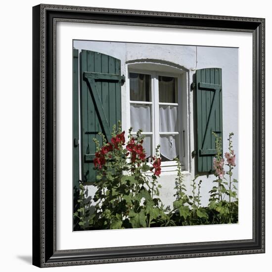 Typical Scene of Shuttered Windows and Hollyhocks, St. Martin, Ile de Re, Poitou-Charentes, France-Stuart Black-Framed Photographic Print