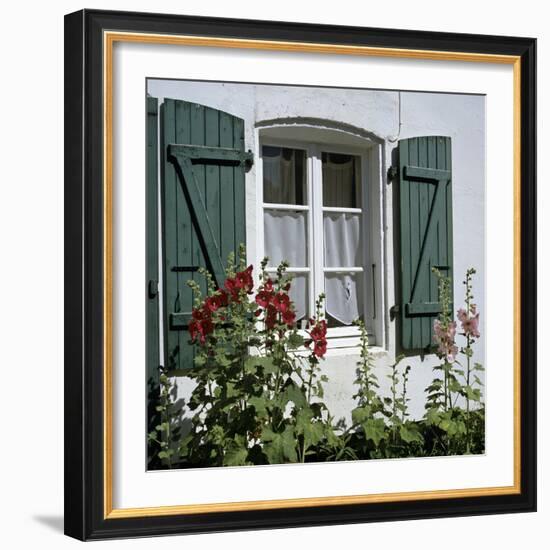 Typical Scene of Shuttered Windows and Hollyhocks, St. Martin, Ile de Re, Poitou-Charentes, France-Stuart Black-Framed Photographic Print