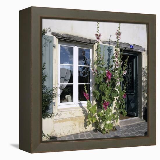 Typical Scene of Shuttered Windows and Hollyhocks, St. Martin, Ile de Re, Poitou-Charentes, France-Stuart Black-Framed Premier Image Canvas