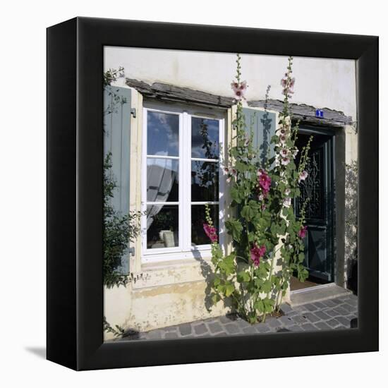 Typical Scene of Shuttered Windows and Hollyhocks, St. Martin, Ile de Re, Poitou-Charentes, France-Stuart Black-Framed Premier Image Canvas