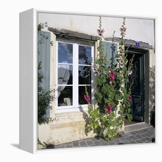 Typical Scene of Shuttered Windows and Hollyhocks, St. Martin, Ile de Re, Poitou-Charentes, France-Stuart Black-Framed Premier Image Canvas