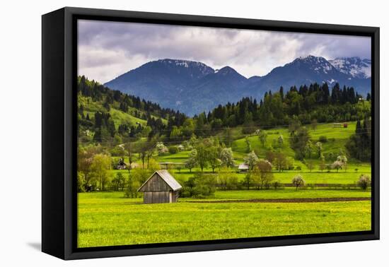 Typical Slovenian Landscape Between Lake Bled and Lake Bohinj-Matthew Williams-Ellis-Framed Premier Image Canvas