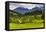 Typical Slovenian Landscape Between Lake Bled and Lake Bohinj-Matthew Williams-Ellis-Framed Premier Image Canvas