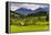 Typical Slovenian Landscape Between Lake Bled and Lake Bohinj-Matthew Williams-Ellis-Framed Premier Image Canvas