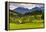 Typical Slovenian Landscape Between Lake Bled and Lake Bohinj-Matthew Williams-Ellis-Framed Premier Image Canvas