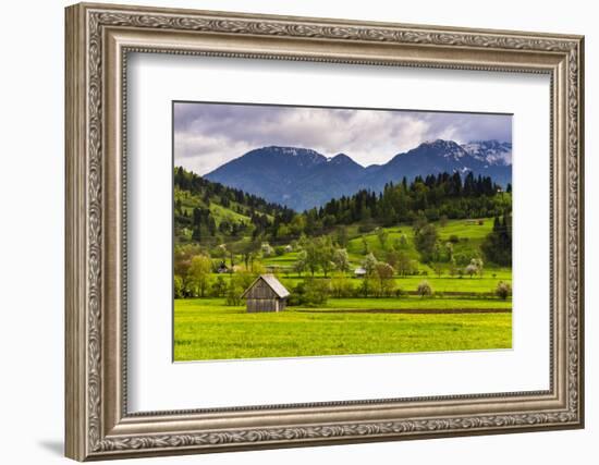 Typical Slovenian Landscape Between Lake Bled and Lake Bohinj-Matthew Williams-Ellis-Framed Photographic Print