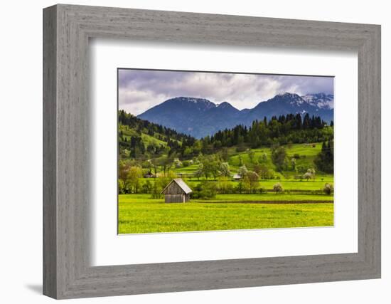 Typical Slovenian Landscape Between Lake Bled and Lake Bohinj-Matthew Williams-Ellis-Framed Photographic Print