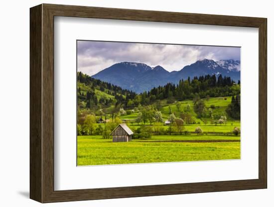 Typical Slovenian Landscape Between Lake Bled and Lake Bohinj-Matthew Williams-Ellis-Framed Photographic Print