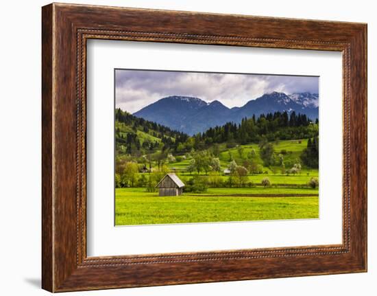 Typical Slovenian Landscape Between Lake Bled and Lake Bohinj-Matthew Williams-Ellis-Framed Photographic Print