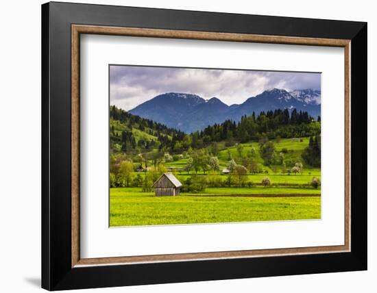 Typical Slovenian Landscape Between Lake Bled and Lake Bohinj-Matthew Williams-Ellis-Framed Photographic Print