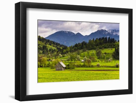 Typical Slovenian Landscape Between Lake Bled and Lake Bohinj-Matthew Williams-Ellis-Framed Photographic Print