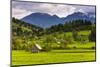 Typical Slovenian Landscape Between Lake Bled and Lake Bohinj-Matthew Williams-Ellis-Mounted Photographic Print