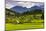 Typical Slovenian Landscape Between Lake Bled and Lake Bohinj-Matthew Williams-Ellis-Mounted Photographic Print