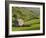 Typical Stone Barns Near Keld in Swaledale, Yorkshire Dales National Park, Yorkshire, England-John Woodworth-Framed Photographic Print