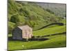 Typical Stone Barns Near Keld in Swaledale, Yorkshire Dales National Park, Yorkshire, England-John Woodworth-Mounted Photographic Print